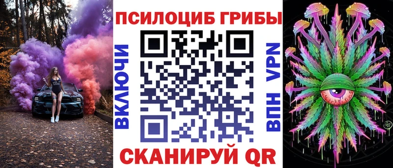 Купить где  Каменск-Шахтинский  Псилоцибиновые грибы ЛСД 